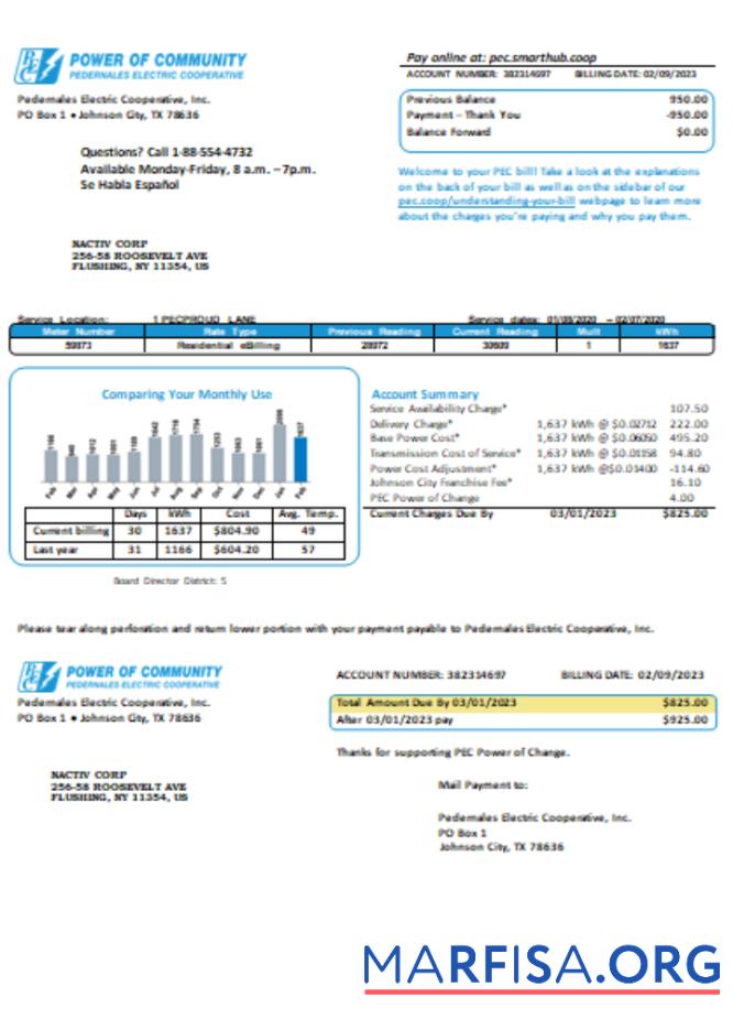 Printable Texas Power of Community electricity utility business bill, SCR example